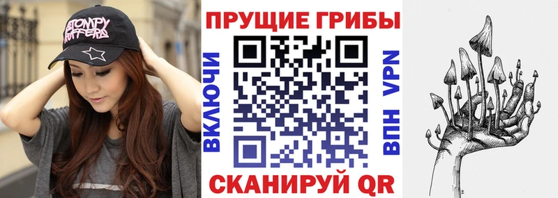 дарнет шоп  Ясный  Галлюциногенные грибы Cubensis 